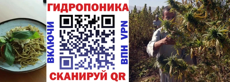 как найти наркотики  Зима  Еда ТГК марихуана 