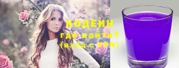 крисы Армянск
