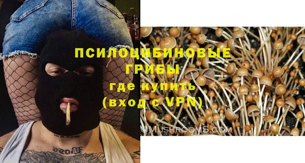 крисы Армянск