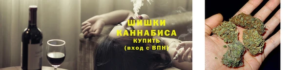крисы Армянск