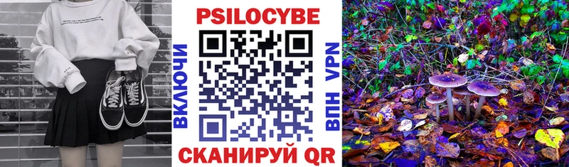Галлюциногенные грибы Magic Shrooms Зима